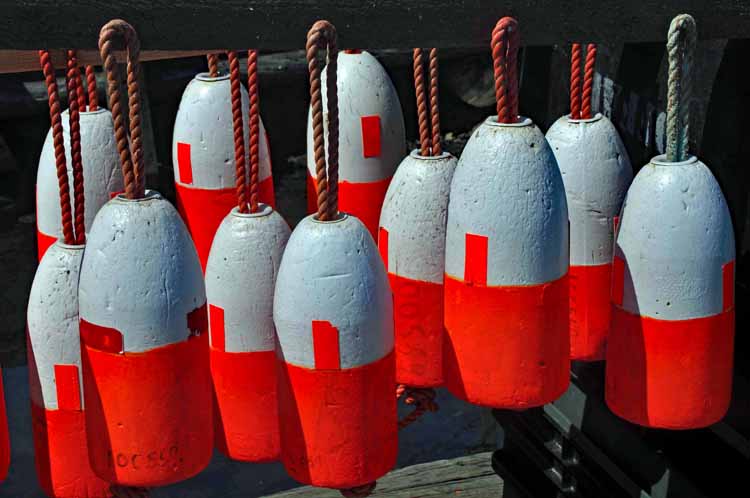 buoys